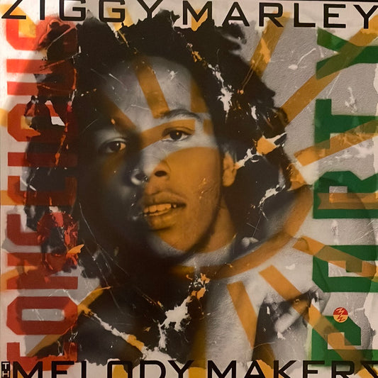 Ziggy Marley and the Melody Makers